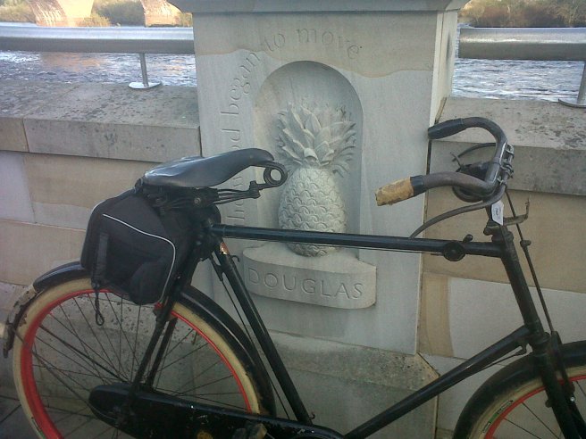 IMG00323-20131119-1242