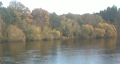 IMG00316-20131119-1233