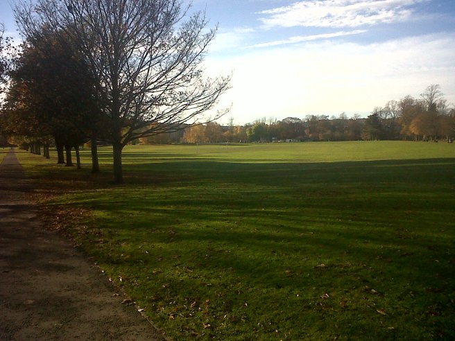 IMG00326-20131119-1249