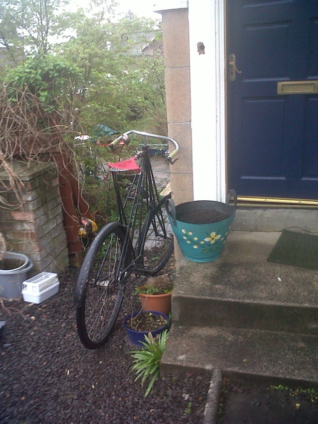 IMG00391-20140425-1531