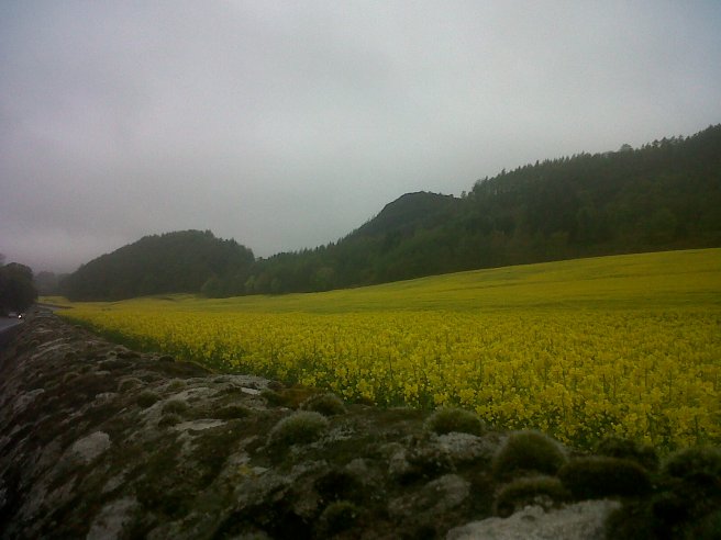 IMG00382-20140425-1508