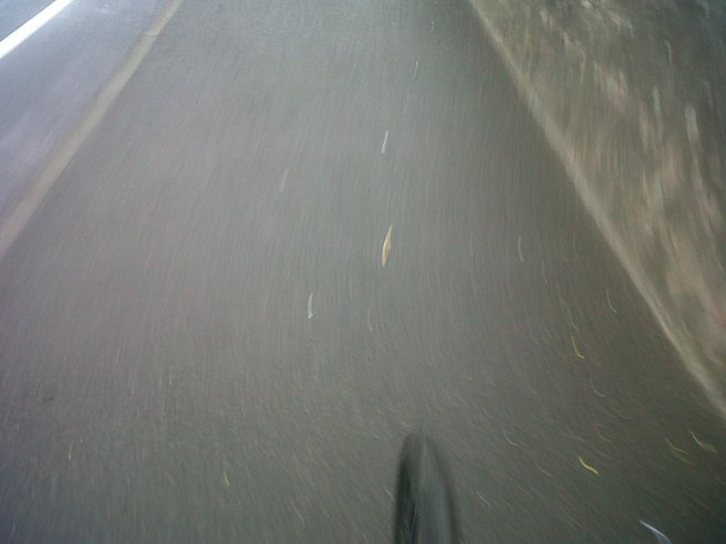 IMG00381-20140425-1508