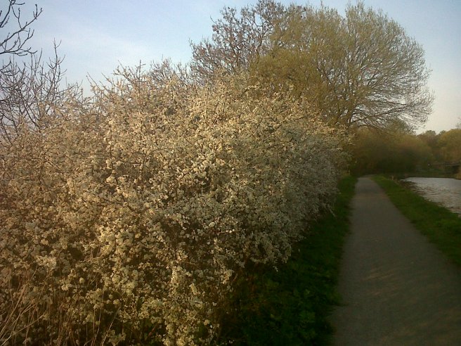 IMG00366-20140420-1909