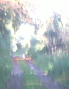 IMG00689-20141008-1035_2