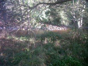 IMG00701-20141008-1102