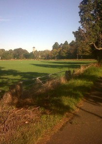 IMG00700-20141008-1049