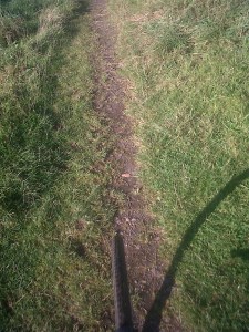 IMG00687-20141008-1034