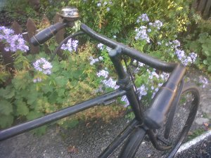 IMG00675-20141008-1007