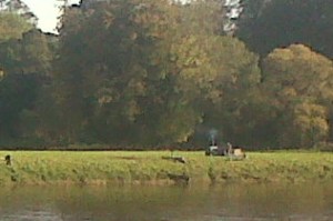 IMG00706-20141008-1113_2