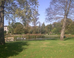 IMG00720-20141008-1131_2