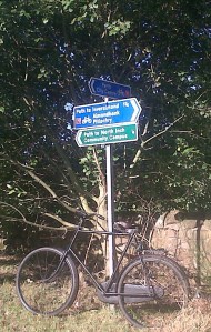 IMG00712-20141008-1117