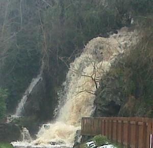 fine spate - Version 2