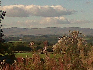 IMG01247-20151016-1446