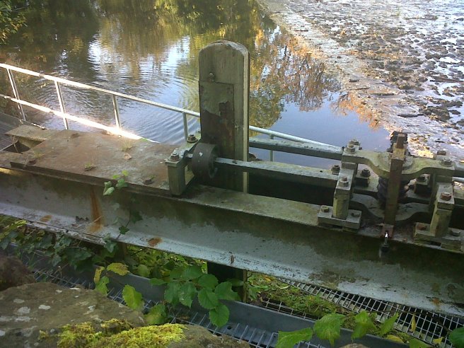 IMG01275-20151016-1521