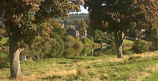 IMG01279-20151016-1547