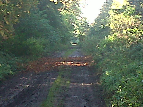 IMG01250-20151016-1449