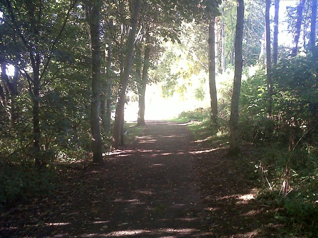 IMG01243-20151016-1433