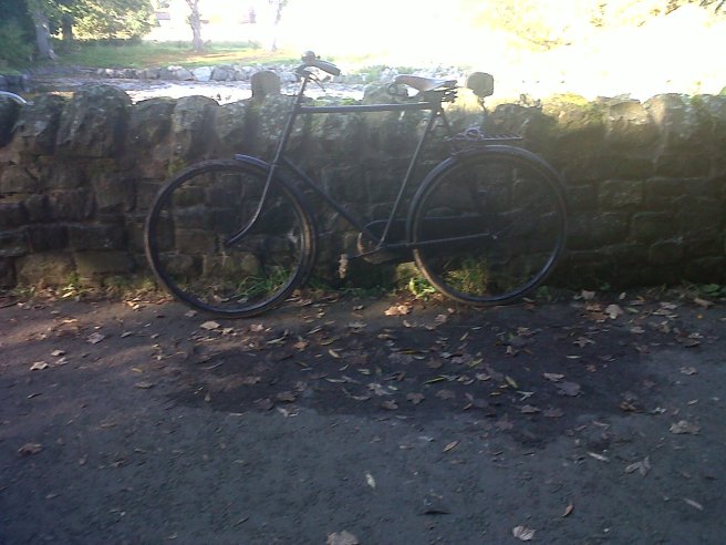 IMG01273-20151016-1521