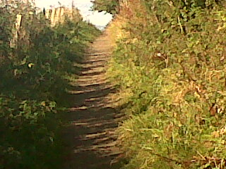 IMG01256-20151016-1452