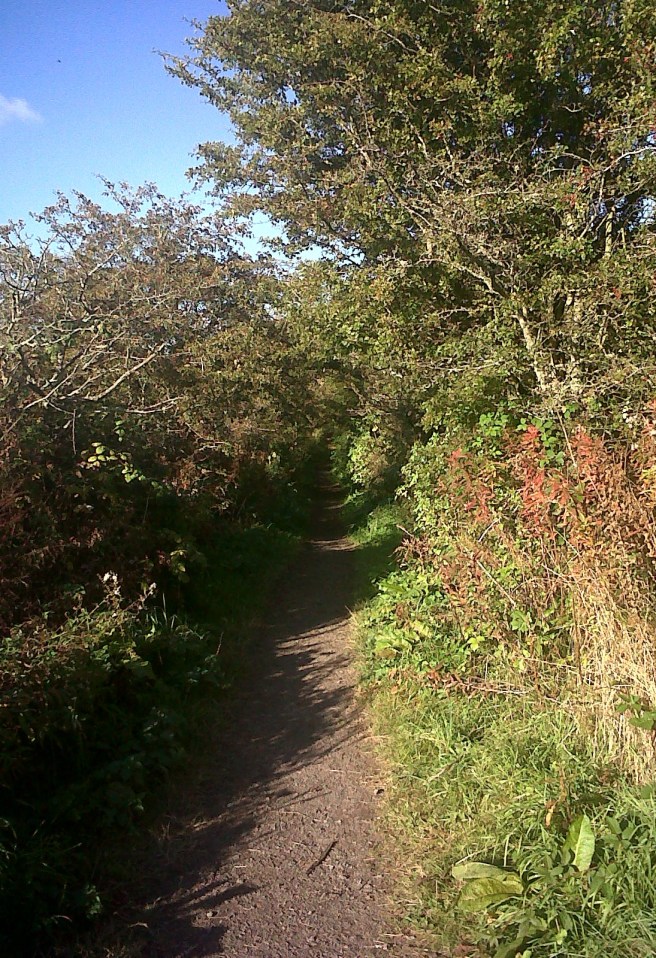 IMG01264-20151016-1504