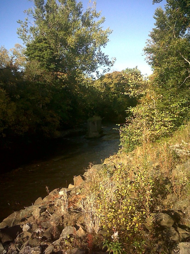 IMG01276-20151016-1523