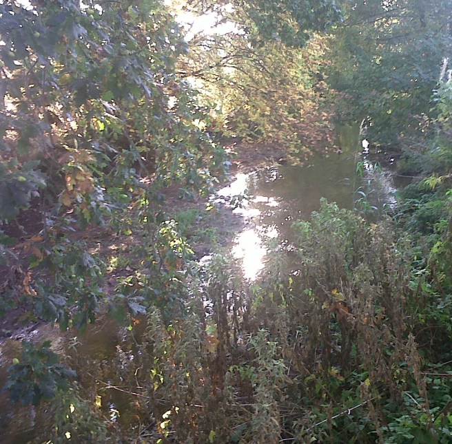 IMG01270-20151016-1518