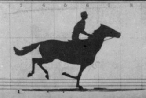 The_Horse_in_Motion-anim